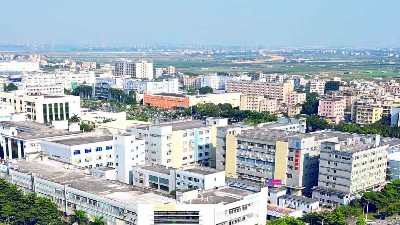 冬至陽生，春歸有期丨靈科超聲波與您共迎歲末暖陽